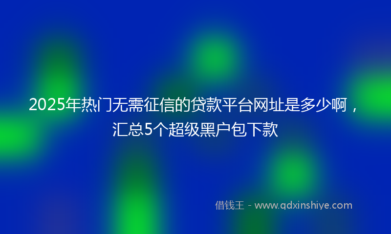 2025年热门无需征信的贷款平台网址是多少啊，汇总5个超级黑户包下款