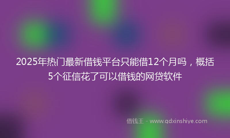 2025年热门最新借钱平台只能借12个月吗，概括5个征信花了可以借钱的网贷软件