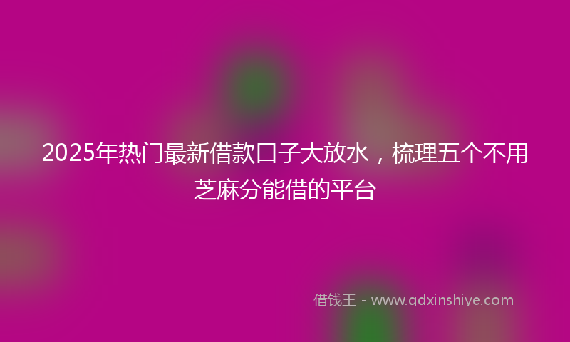 2025年热门最新借款口子大放水，梳理五个不用芝麻分能借的平台