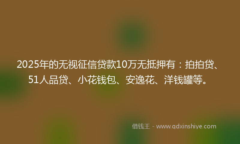 2025年的无视征信贷款10万无抵押有：拍拍贷、51人品贷、小花钱包、安逸花、洋钱罐等。