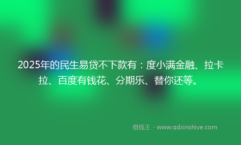 2025年的民生易贷不下款有：度小满金融、拉卡拉、百度有钱花、分期乐、替你还等。