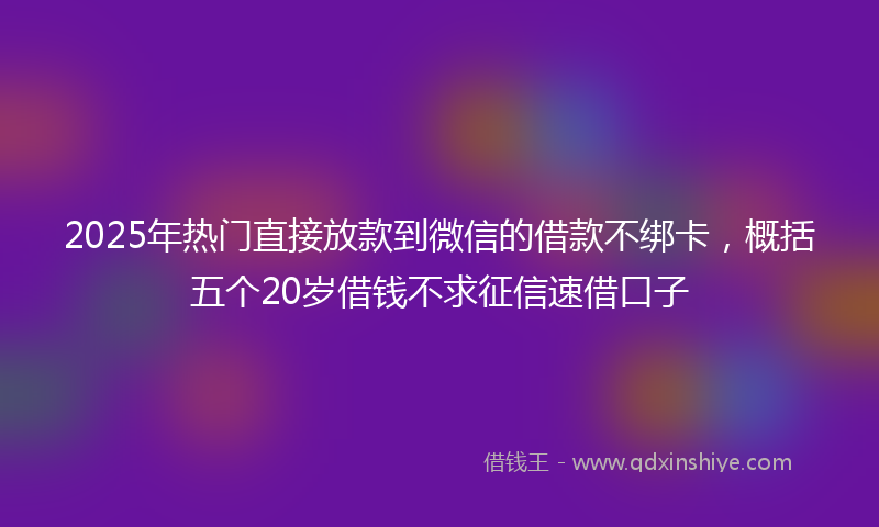 2025年热门直接放款到微信的借款不绑卡，概括五个20岁借钱不求征信速借口子