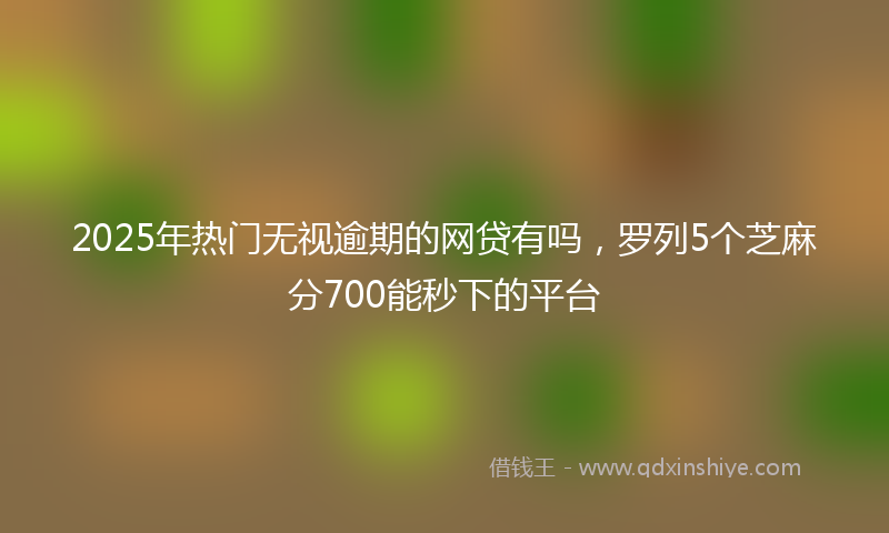 2025年热门无视逾期的网贷有吗，罗列5个芝麻分700能秒下的平台