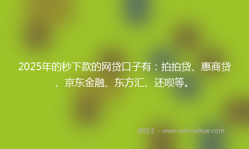 2025年的秒下款的网贷口子有：拍拍贷、惠商贷、京东金融、东方汇、还呗等。
