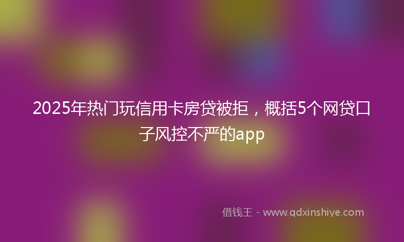 2025年热门玩信用卡房贷被拒，概括5个网贷口子风控不严的app