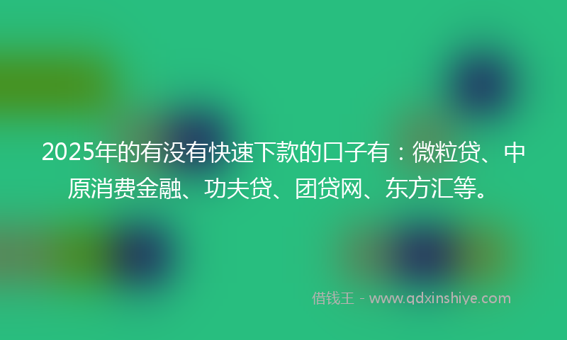 2025年的有没有快速下款的口子有：微粒贷、中原消费金融、功夫贷、团贷网、东方汇等。