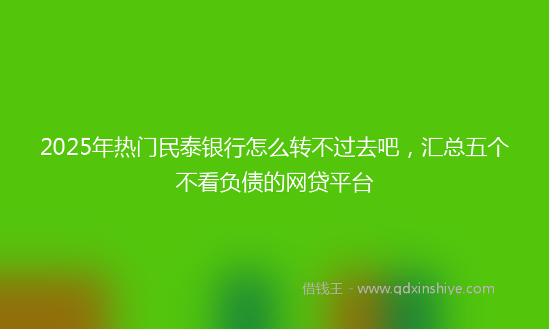 2025年热门民泰银行怎么转不过去吧，汇总五个不看负债的网贷平台