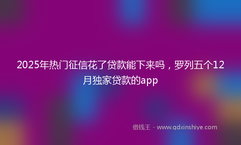 2025年热门征信花了贷款能下来吗，罗列五个12月独家贷款的app
