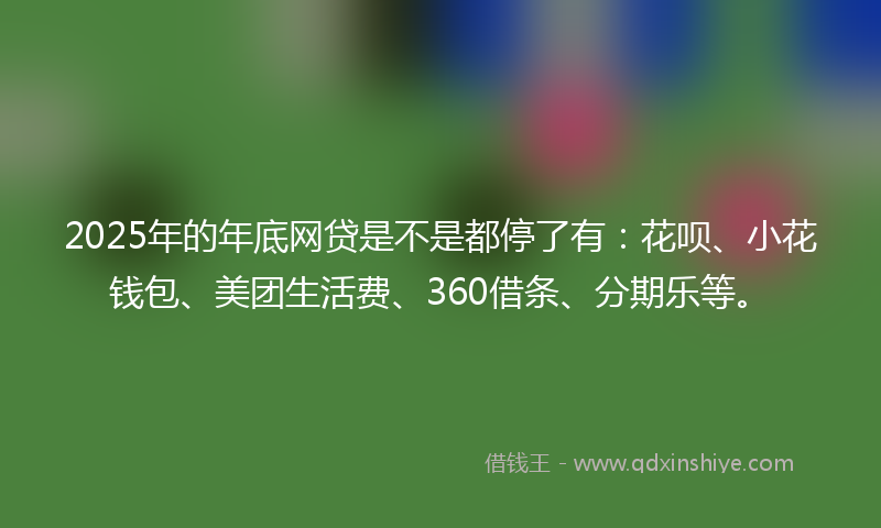 2025年的年底网贷是不是都停了有：花呗、小花钱包、美团生活费、360借条、分期乐等。