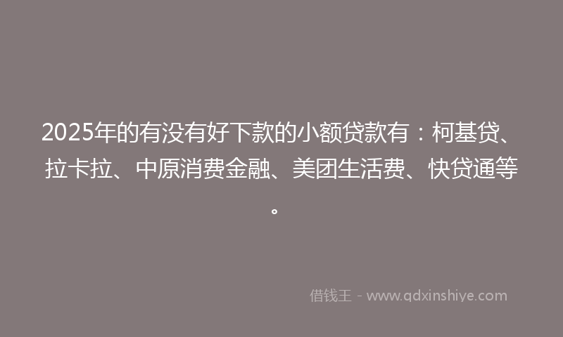 2025年的有没有好下款的小额贷款有：柯基贷、拉卡拉、中原消费金融、美团生活费、快贷通等。
