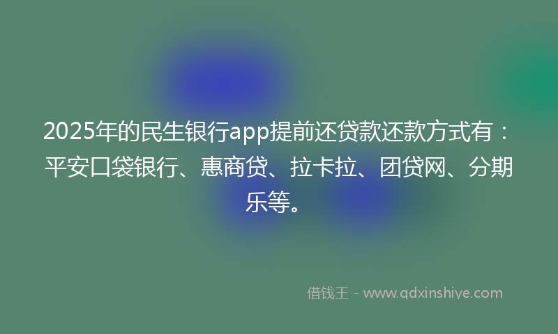 2025年的民生银行app提前还贷款还款方式有：平安口袋银行、惠商贷、拉卡拉、团贷网、分期乐等。