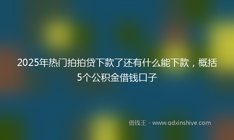 2025年热门拍拍贷下款了还有什么能下款，概括5个公积金借钱口子