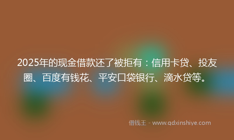 2025年的现金借款还了被拒有：信用卡贷、投友圈、百度有钱花、平安口袋银行、滴水贷等。