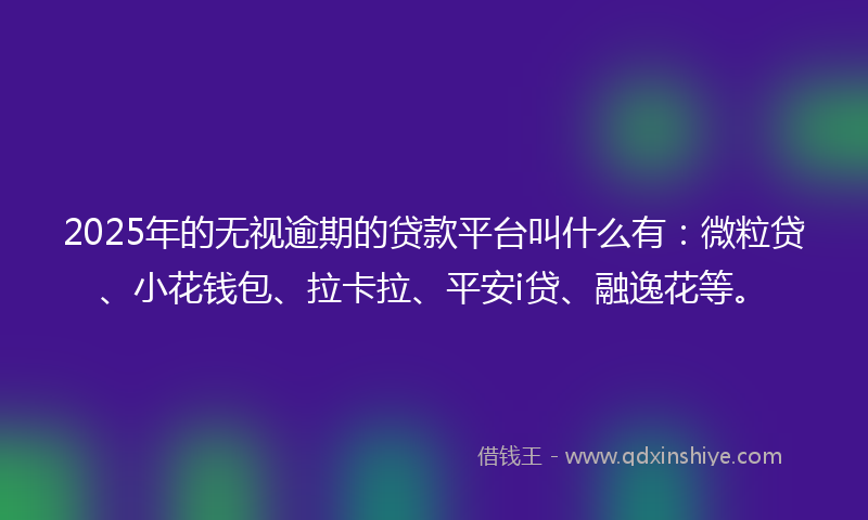 2025年的无视逾期的贷款平台叫什么有：微粒贷、小花钱包、拉卡拉、平安i贷、融逸花等。