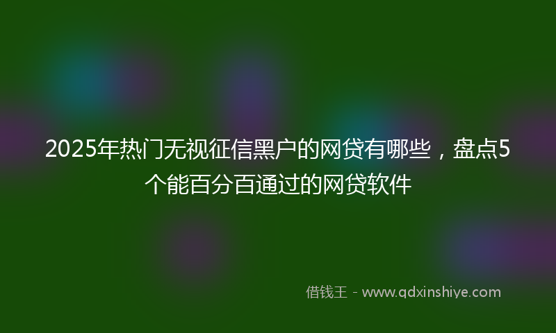 2025年热门无视征信黑户的网贷有哪些，盘点5个能百分百通过的网贷软件