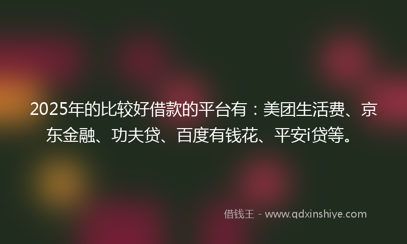 2025年的比较好借款的平台有：美团生活费、京东金融、功夫贷、百度有钱花、平安i贷等。
