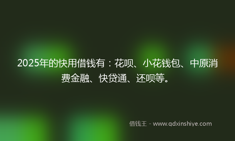2025年的快用借钱有：花呗、小花钱包、中原消费金融、快贷通、还呗等。