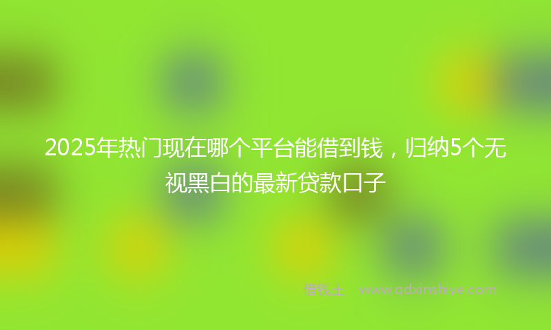 2025年热门现在哪个平台能借到钱，归纳5个无视黑白的最新贷款口子