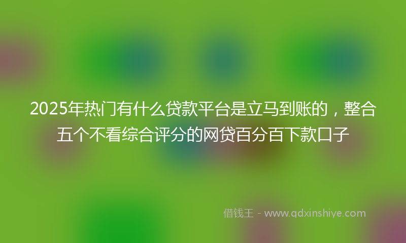 2025年热门有什么贷款平台是立马到账的，整合五个不看综合评分的网贷百分百下款口子