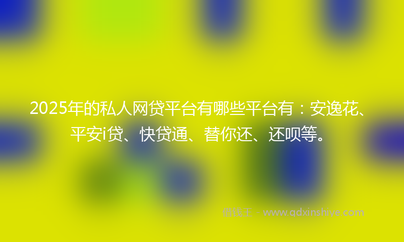 2025年的私人网贷平台有哪些平台有：安逸花、平安i贷、快贷通、替你还、还呗等。
