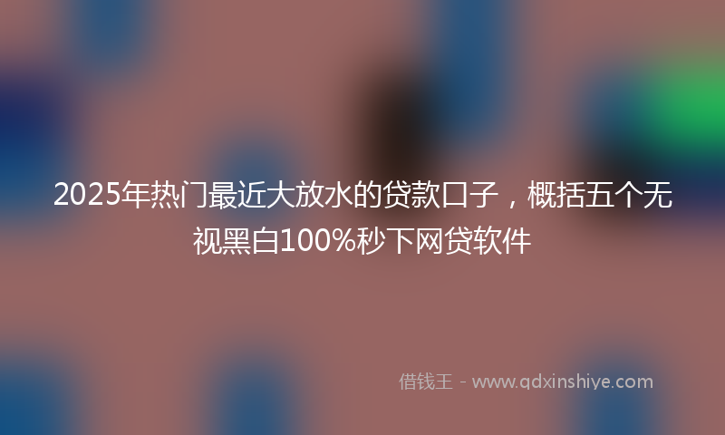 2025年热门最近大放水的贷款口子，概括五个无视黑白100%秒下网贷软件