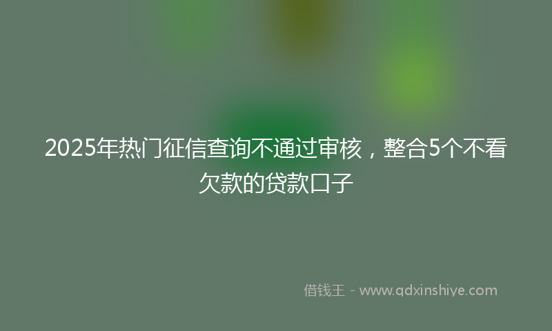 2025年热门征信查询不通过审核，整合5个不看欠款的贷款口子