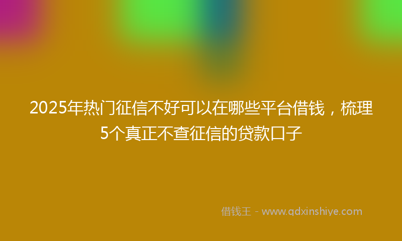 2025年热门征信不好可以在哪些平台借钱，梳理5个真正不查征信的贷款口子