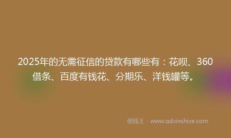 2025年的无需征信的贷款有哪些有：花呗、360借条、百度有钱花、分期乐、洋钱罐等。