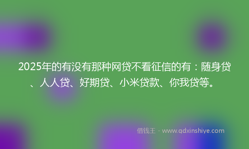 2025年的有没有那种网贷不看征信的有：随身贷、人人贷、好期贷、小米贷款、你我贷等。