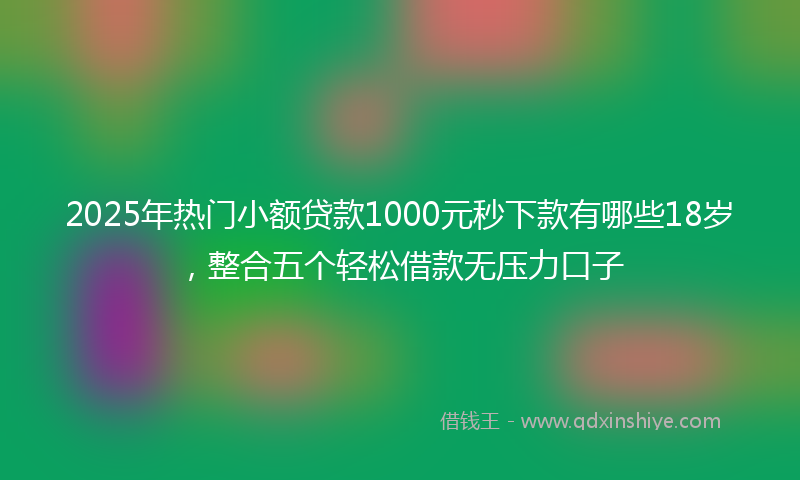 2025年热门小额贷款1000元秒下款有哪些18岁，整合五个轻松借款无压力口子