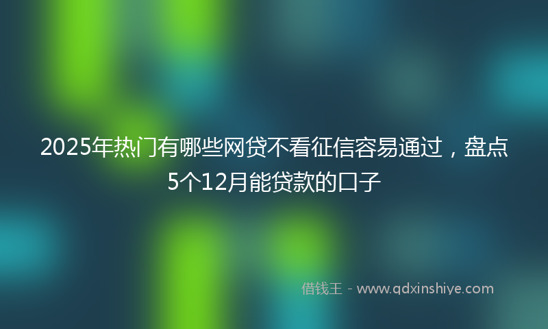 2025年热门有哪些网贷不看征信容易通过，盘点5个12月能贷款的口子