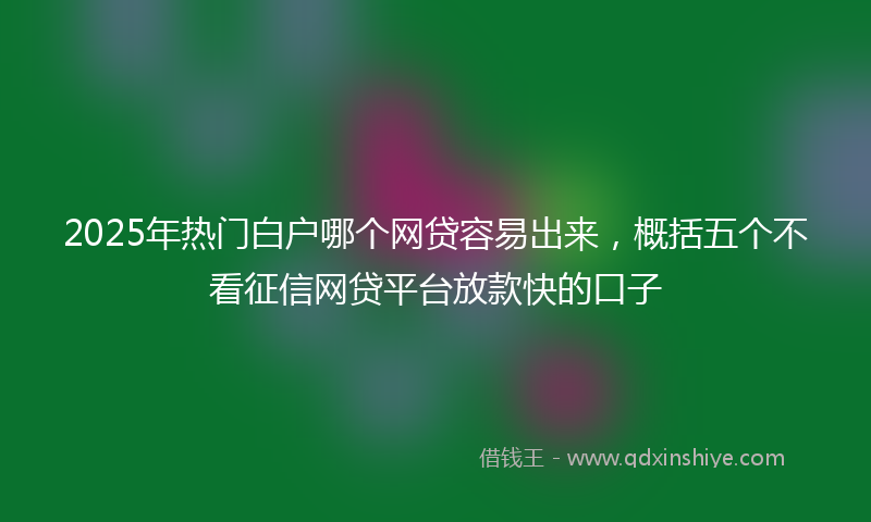 2025年热门白户哪个网贷容易出来，概括五个不看征信网贷平台放款快的口子