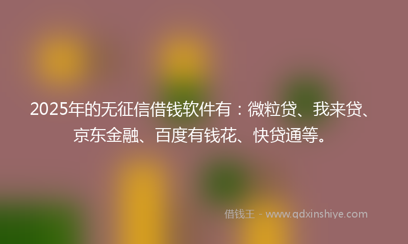 2025年的无征信借钱软件有：微粒贷、我来贷、京东金融、百度有钱花、快贷通等。