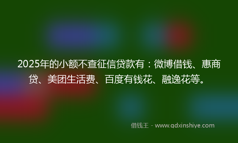 2025年的小额不查征信贷款有：微博借钱、惠商贷、美团生活费、百度有钱花、融逸花等。