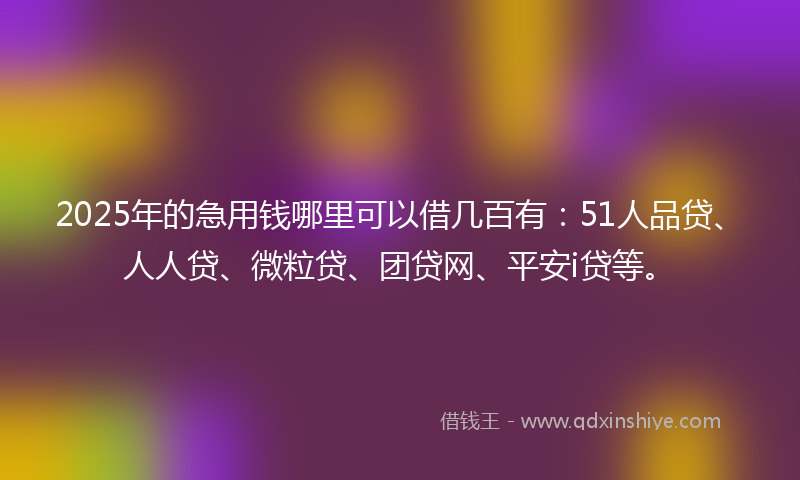 2025年的急用钱哪里可以借几百有：51人品贷、人人贷、微粒贷、团贷网、平安i贷等。