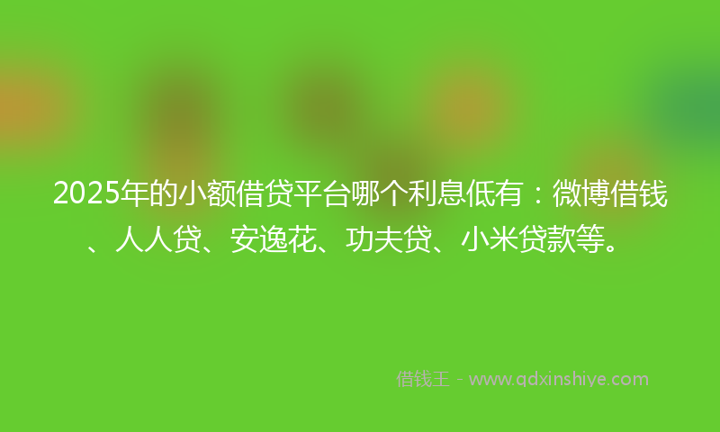2025年的小额借贷平台哪个利息低有：微博借钱、人人贷、安逸花、功夫贷、小米贷款等。