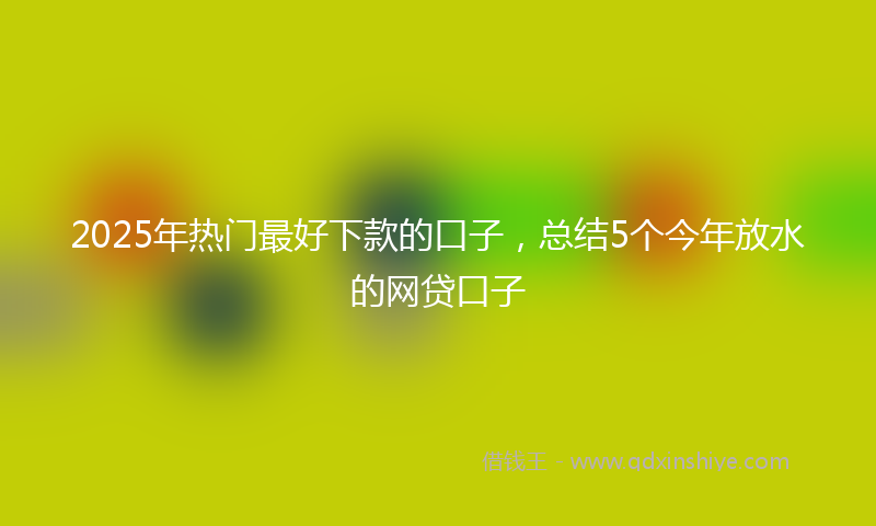 2025年热门最好下款的口子，总结5个今年放水的网贷口子