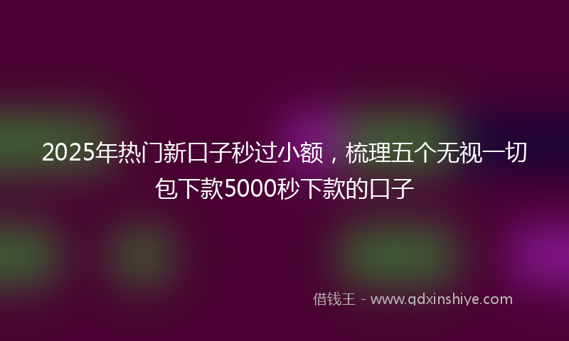 2025年热门新口子秒过小额，梳理五个无视一切包下款5000秒下款的口子