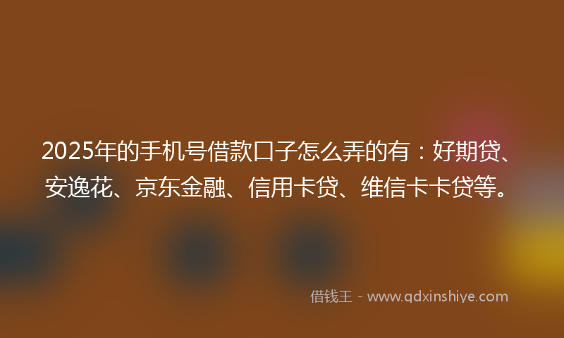 2025年的手机号借款口子怎么弄的有：好期贷、安逸花、京东金融、信用卡贷、维信卡卡贷等。