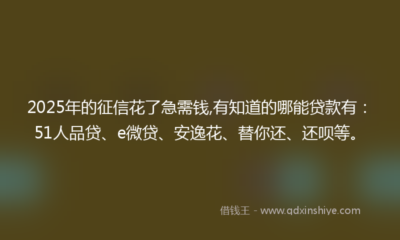 2025年的征信花了急需钱,有知道的哪能贷款有：51人品贷、e微贷、安逸花、替你还、还呗等。