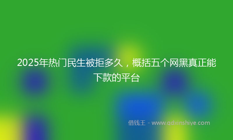 2025年热门民生被拒多久，概括五个网黑真正能下款的平台
