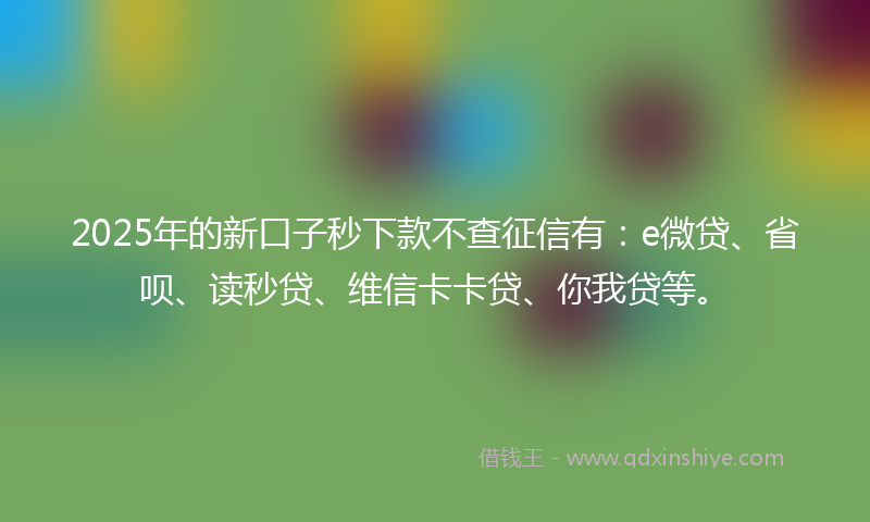 2025年的新口子秒下款不查征信有：e微贷、省呗、读秒贷、维信卡卡贷、你我贷等。