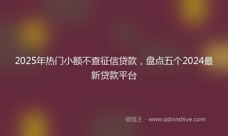 2025年热门小额不查征信贷款，盘点五个2024最新贷款平台