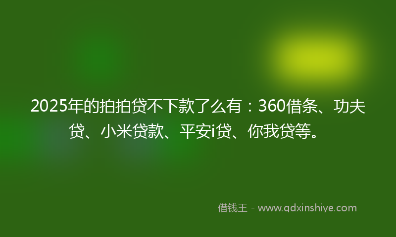 2025年的拍拍贷不下款了么有：360借条、功夫贷、小米贷款、平安i贷、你我贷等。