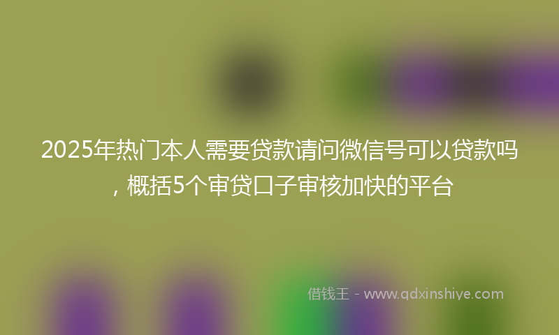 2025年热门本人需要贷款请问微信号可以贷款吗，概括5个审贷口子审核加快的平台