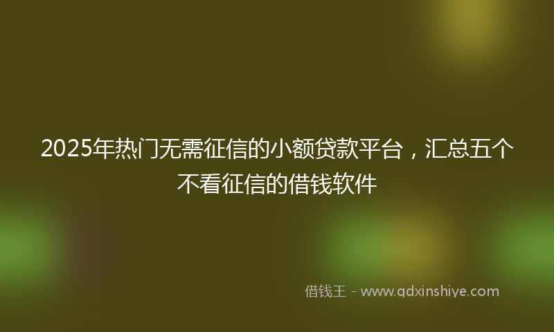 2025年热门无需征信的小额贷款平台，汇总五个不看征信的借钱软件