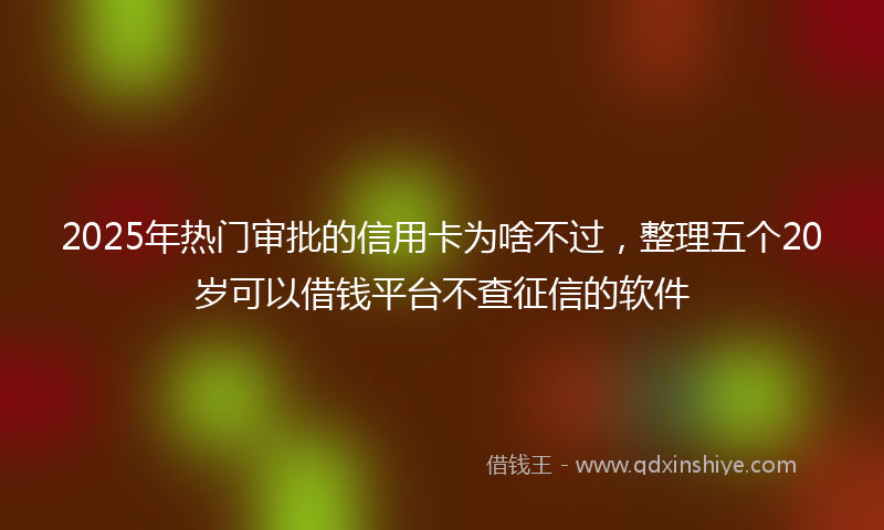 2025年热门审批的信用卡为啥不过，整理五个20岁可以借钱平台不查征信的软件