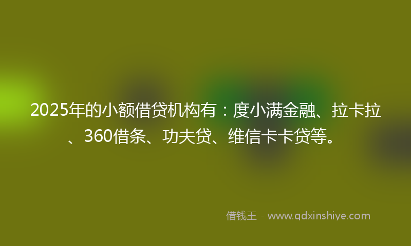 2025年的小额借贷机构有：度小满金融、拉卡拉、360借条、功夫贷、维信卡卡贷等。