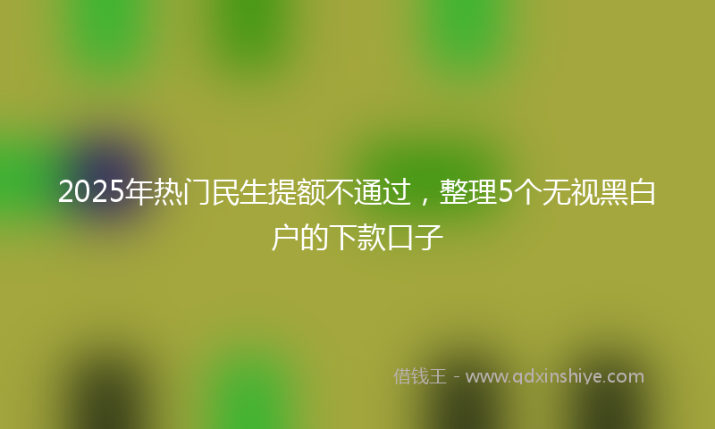 2025年热门民生提额不通过，整理5个无视黑白户的下款口子
