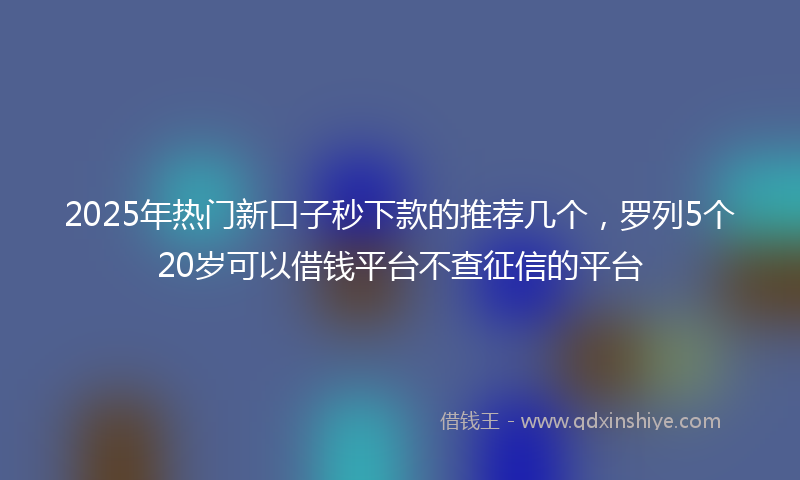 2025年热门新口子秒下款的推荐几个，罗列5个20岁可以借钱平台不查征信的平台